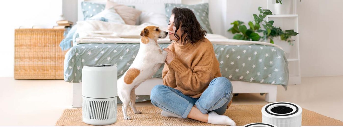 Future Way air purifier filters